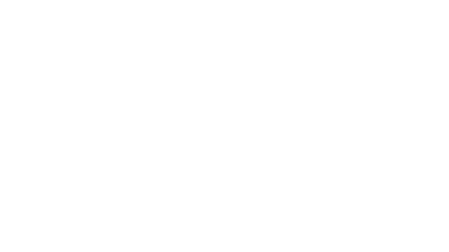 TaxAce Ltd